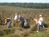 Условия диктует погода