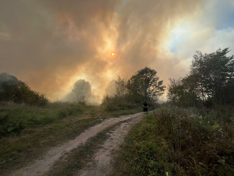 Из-за сухой погоды на Чашниччине сохраняется высокая опасность возникновения пожаров