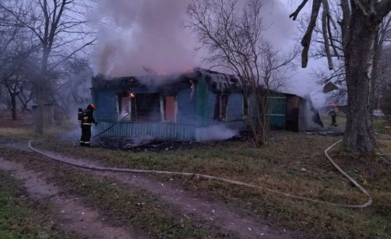 В деревне Вишковичи произошел пожар