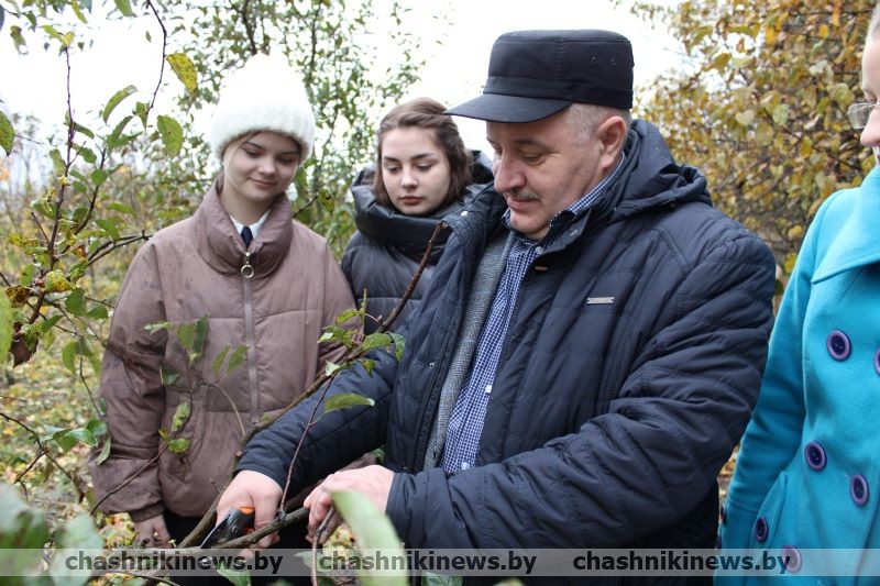 В учреждениях образования района функционирует девять агроклассов, где занимается более 50 учащихся