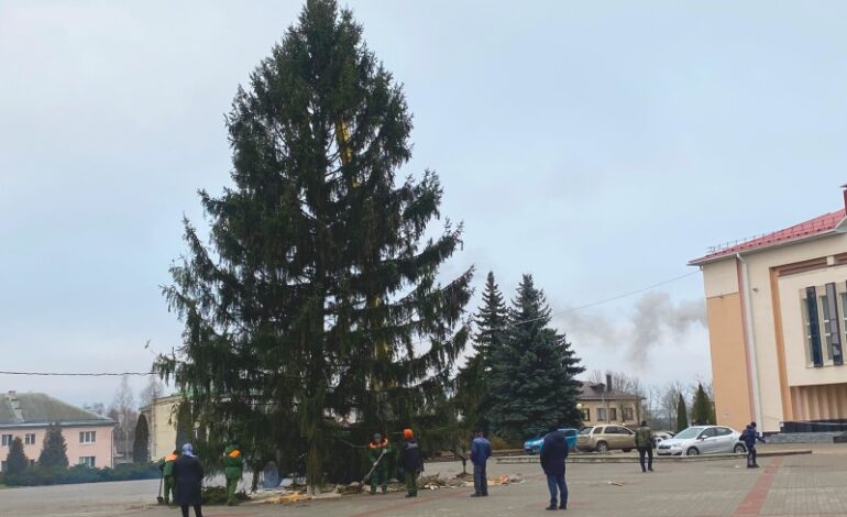 В Чашниках установили новогоднюю елку