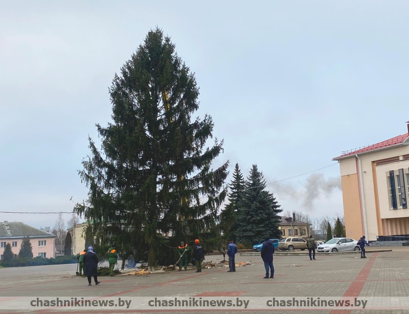 В Чашниках установили новогоднюю елку